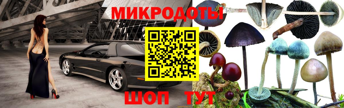 Псилоцибиновые грибы прущие грибы Таганрог